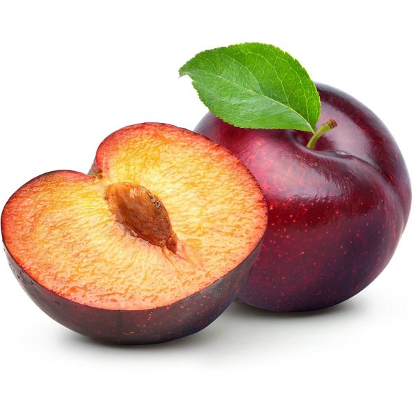شلیل